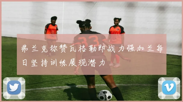 弗兰克称赞瓦格勒即战力强加兰每日坚持训练展现潜力