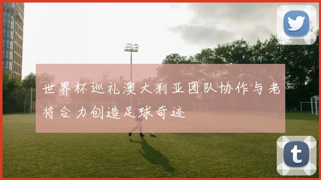 世界杯巡礼澳大利亚团队协作与老将合力创造足球奇迹